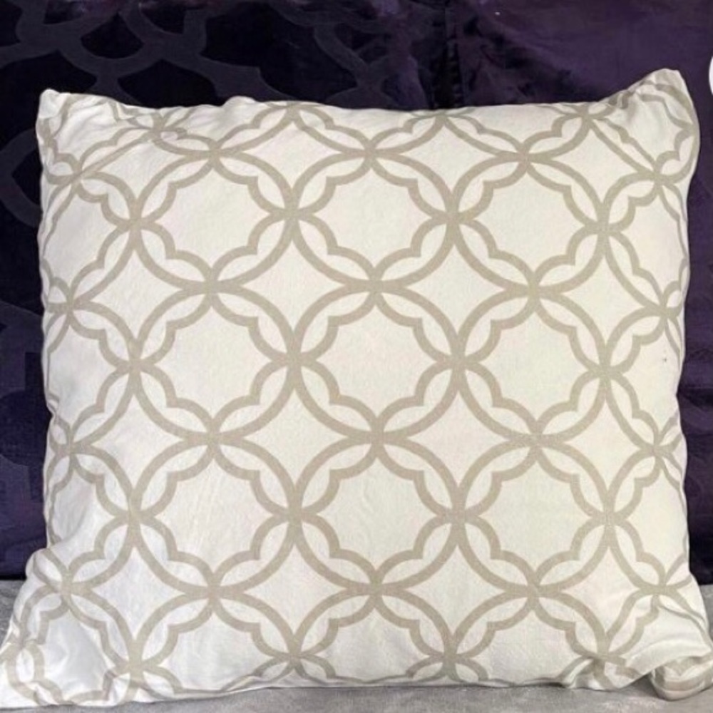 Pottery Barn Cotton Pillow Cover Only